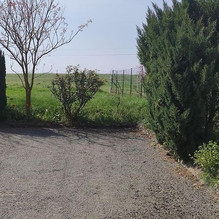 Gite La Metairie, Au Calme A La Campagne Villa Saint-Seurin-de-Palenne Екстериор снимка